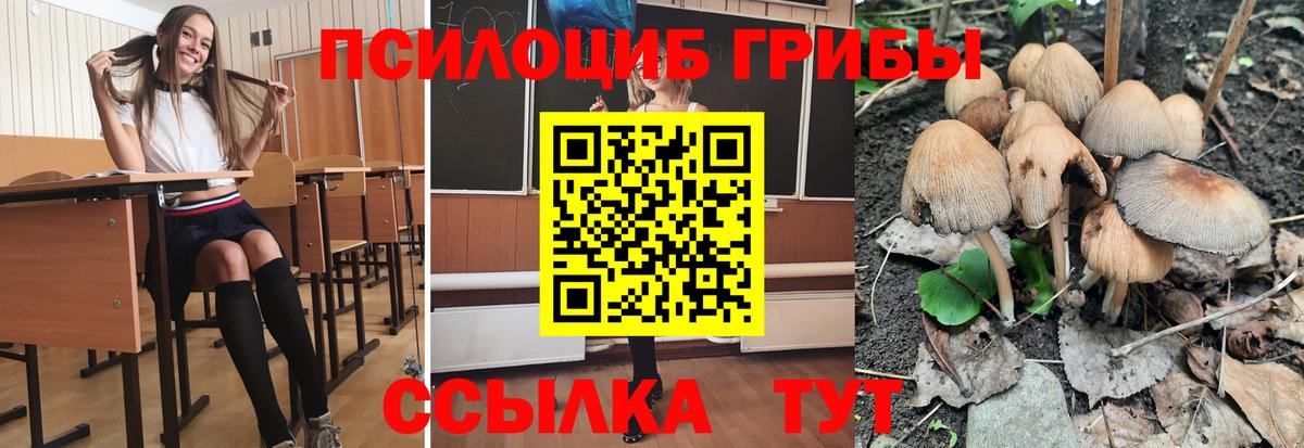Псилоцибиновые грибы Magic Shrooms  Псилоцибиновые грибы мухоморы  где купить наркотик  Вход с VPN  Северобайкальск 